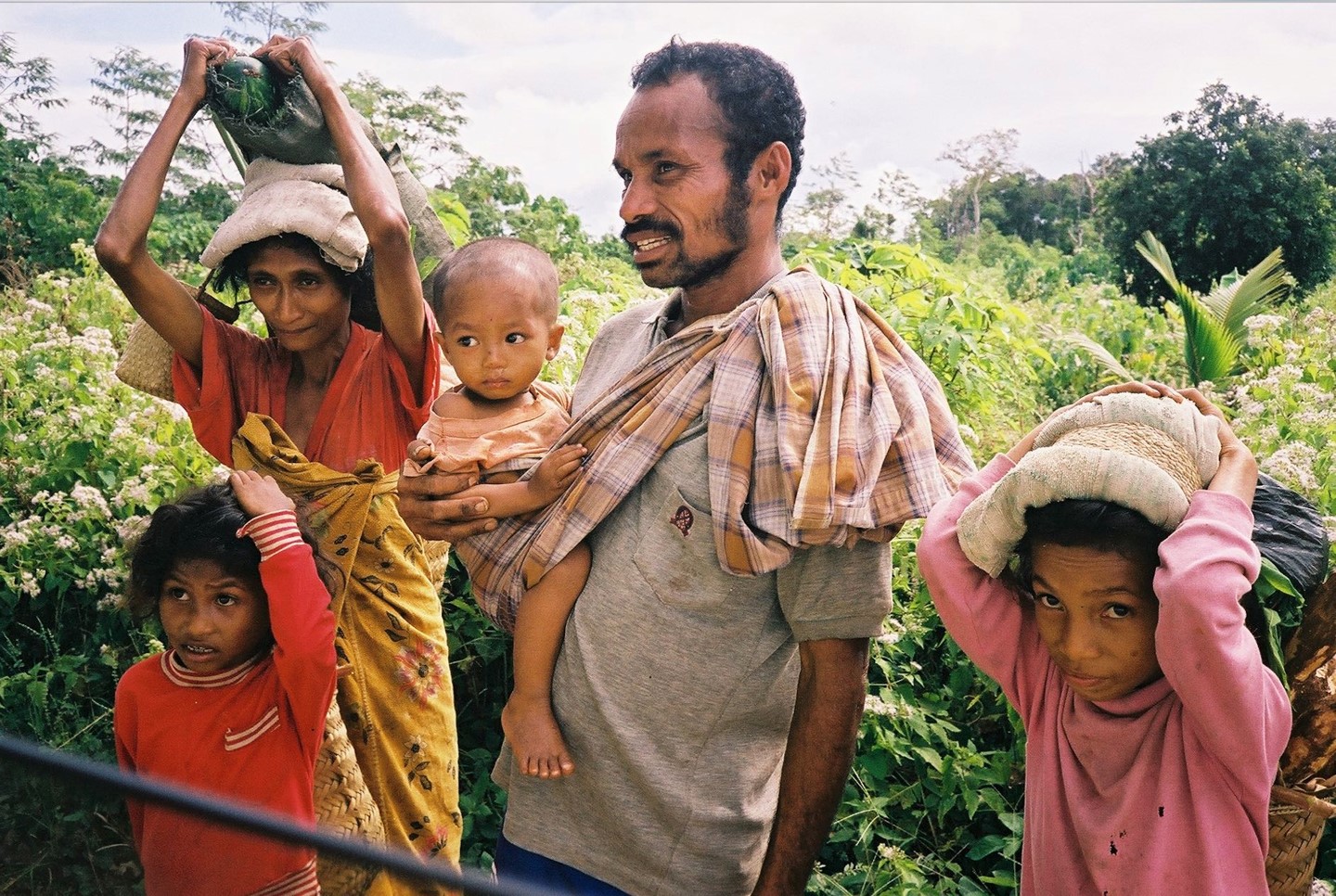Paisagem de Timor-Leste